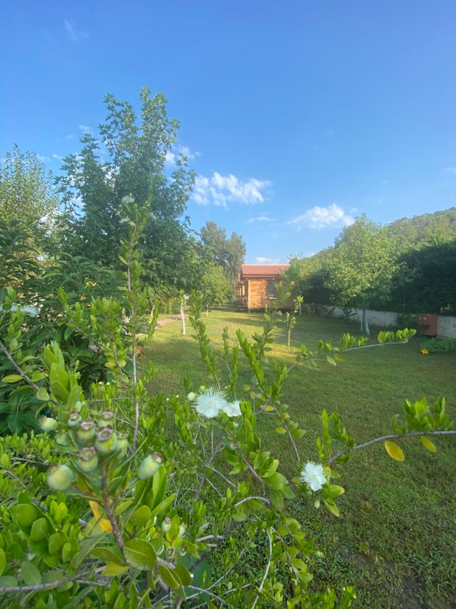 Inlice Uenzile Bungalow Inlice Kamp Fethiye Exterior foto